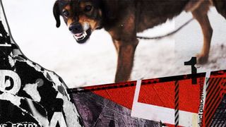 VIDEO-UPDATE - O  femeie de 53 de ani din București a murit după ce a fost atacată de un câine