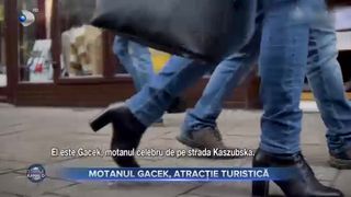 Motanul Gacek, atracție turistică