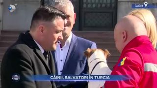 C&acirc;inii, salvatori &icirc;n Turcia