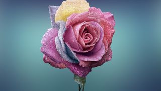 Mesaje de dragoste de Dragobete. Cele mai frumoase SMS-uri, urări și felicitări pentru persoana iubită &icirc;n 2023