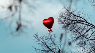 Dragobete 2023. Ce trebuie să faci pentru a-ți visa ursitul?