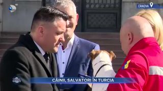 C&acirc;inii, salvatori &icirc;n Turcia