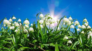 Temperaturi de primăvară în aproape toată țara