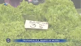 Trufandalele, marfă de muzeu