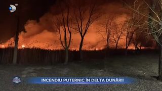 Incendiu puternic &icirc;n Delta Dunării