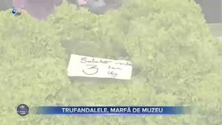Trufandalele, marfă de muzeu