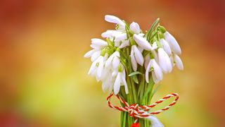 Mărțișor 2023. Cele mai cunoscute legende despre acest simbol al primăverii!