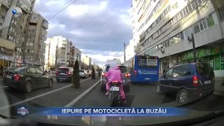 Iepure pe motocicletă la Buzău