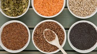 Investiția perfectă pentru grădină: Cum să achiziționezi cele mai bune echipamente și accesorii de grădinărit