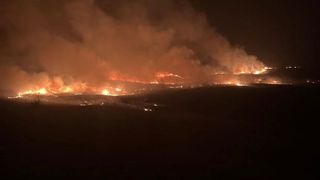 Incendiu de vegetație &icirc;n județul Prahova. Pompierii intervin &icirc;n aceste momente