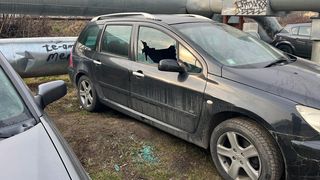 VIDEO  Mai multe mașini au fost vandalizate pe o stradă din Cluj