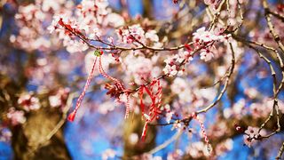 Mesaje de Mărțișor 2023. Urări și felicitări pentru persoanele dragi &icirc;n prima zi de primăvară