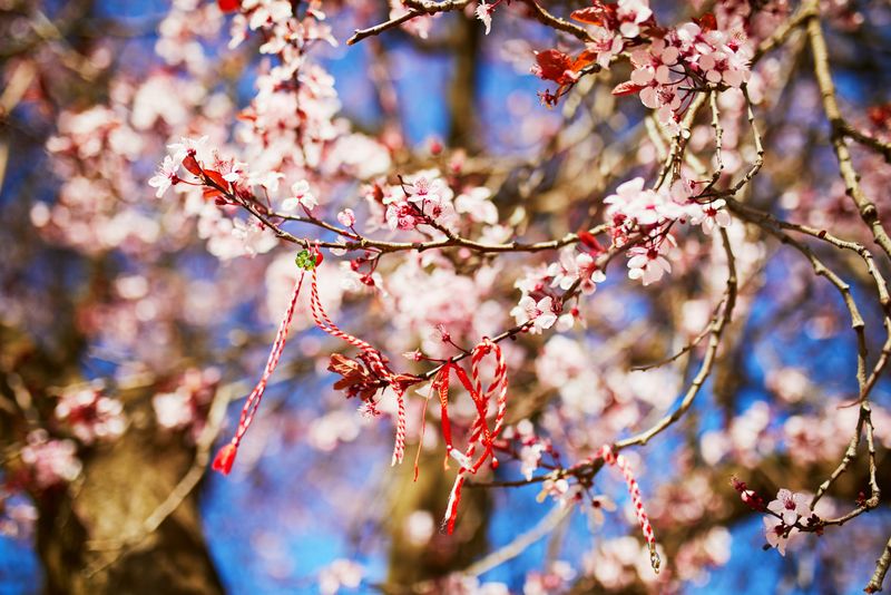 Mesaje de Mărțișor 2023. Urări și felicitări pentru persoanele dragi în prima zi de primăvară