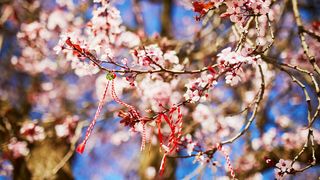 Mărțișor 2023. Cum este sărbătorit în alte țări?