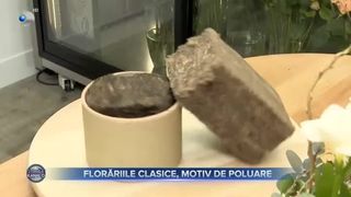 Florariile clasice, motiv de poluare