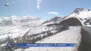 Fenomen neobisnuit in Maroc
