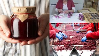 Povestea a doi soți români care au reușit să creeze un produs unic în Europa. Au muncit timp de 10 ani pentru el: „La început ne-am jucat”