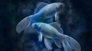Horoscop 28 februarie 2023. Multe persoane din trecut vor să reaprindă sc&acirc;nteia unei relații 