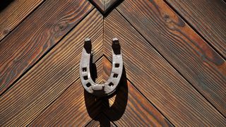 Mărțișor 2023. Ce semnifică coșarul, potcoava, trifoiul sau ghiocelul?