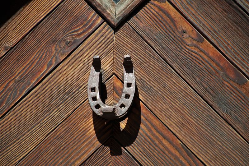 Mărțișor 2023. Ce semnifică coșarul, potcoava, trifoiul sau ghiocelul?