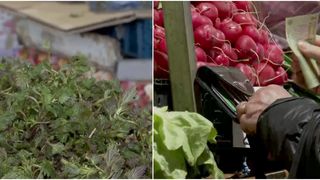 Prețul urzicilor a devenit echivalent cu prețul cărnii de porc