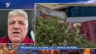 Trufandale scumpe c&acirc;t carnea de porc