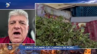 Urzici scumpe c&acirc;t carnea de porc