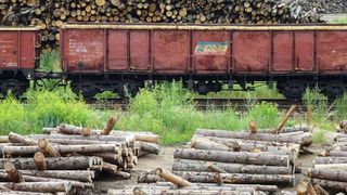 Un tren încărcat cu lemne a deraiat în județul Brașov