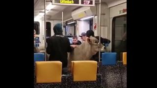 Scene incredibile cu o vacă în tren, în Elveția/ Polițist: ” Au fost echipați optim, cu mătură, lopată și o găleată”