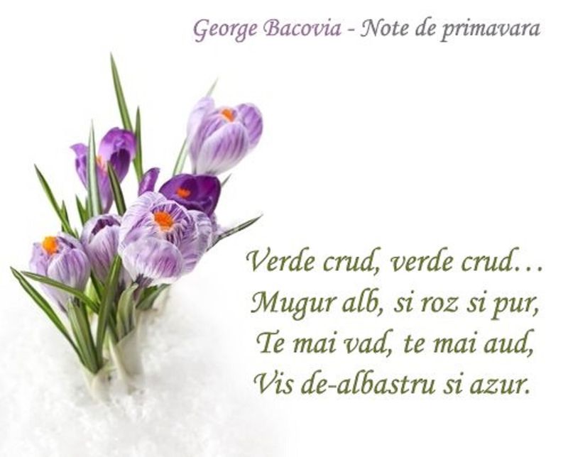 Citate pentru Mărțișor 2023.