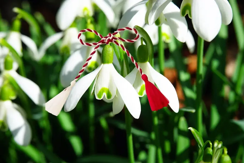 Mărțișor 2023. Ce nu este bine să faci în prima zi de primăvară Tradiții și obiceiuri!