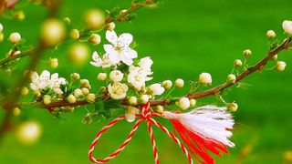 Urări de de 1 Martie 2023 și Mărțișor 2023. ,,O primăvară fericită și plină de realizări! Să fii binecuv&acirc;ntat cu sănătate, fericire și multă dragoste!''