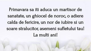 Felicitări  de 1 Martie 2023 și Mărțișor 2023. ,,Bucuraţi-vă de soare, bucuraţi-vă de ghiocei, bucuraţi-vă de frumoasele zile ale primăverii!''