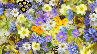 Primăvara aceasta să fie ca z&acirc;mbetul, bunătatea şi optimismul tău! O primăvară fericită!