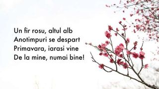 Mesaje de 1 Martie 2023. 