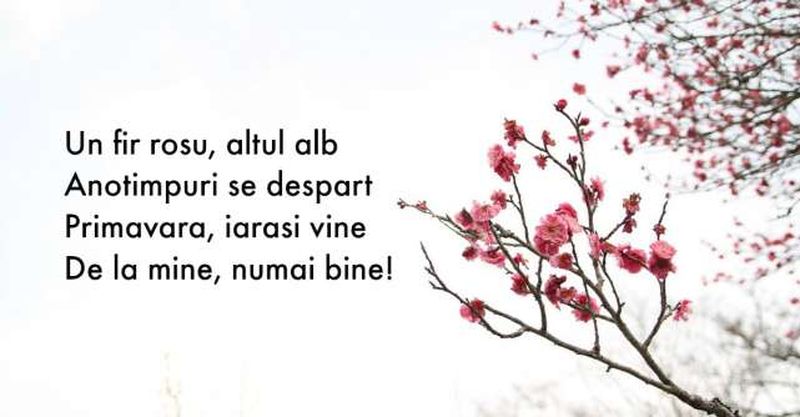 Mesaje de 1 Martie 2023. 