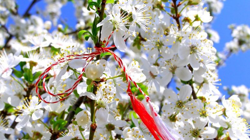 Cum va fi vremea de Mărțișor? Prognoza meteo pentru primele zile din martie