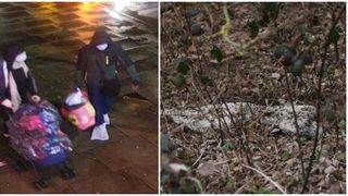 Alertă: Un nou născut este căutat într-o pădure din Anglia/ Părinții lui au fost arestați sub suspiciunea de omor prin neglijență gravă