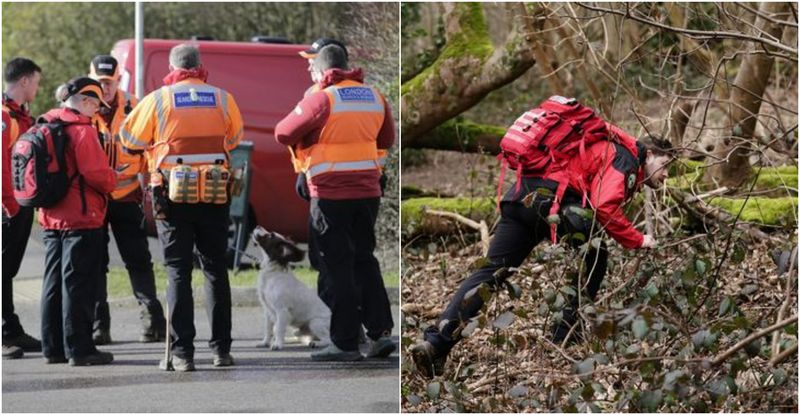 Un nou născut este căutat într-o pădure din Anglia
