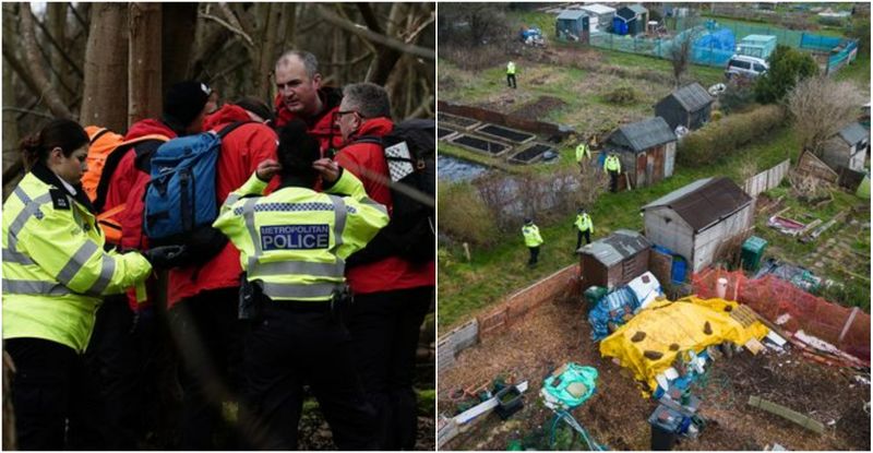 Un nou născut este căutat într-o pădure din Anglia