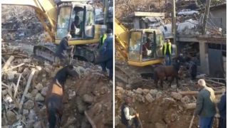 Un alt miracol din Turcia, acolo unde un cal a fost scos viu de sub dărâmături