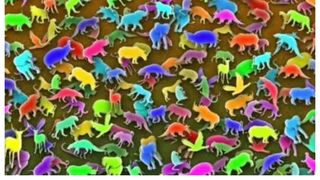 Testul celor 11 secunde. Dacă găsești girafa ascunsă în imagine, ești un geniu