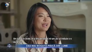 Cea mai bogată pisică din lume