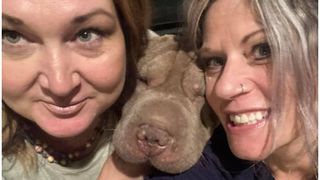 Un bărbat și-a surprins iubita în pat cu o altă femeie și le-a ucis pe amândouă