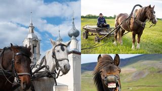 Acesta este orașul unde rom&acirc;nii sărbătoresc Paştele Cailor! Care este semnificația acestei sărbători
