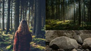 Incident scandalos! Un bărbat și-a dus soția în pădure și le-a cerut copiilor să o ucidă cu pietre