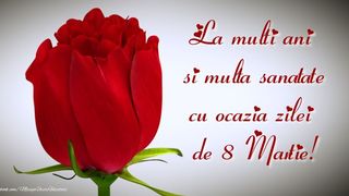 Felicitări de 8 Martie 2023: Imagini superbe cu text pentru Ziua Femeii