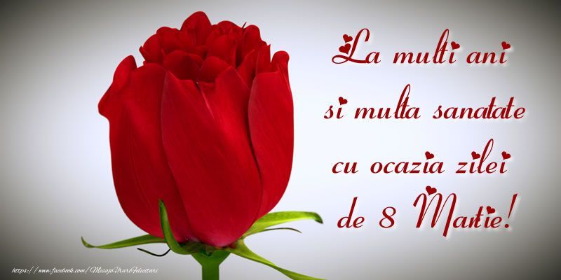 Felicitări de 8 Martie 2023: Imagini superbe cu text pentru Ziua Femeii