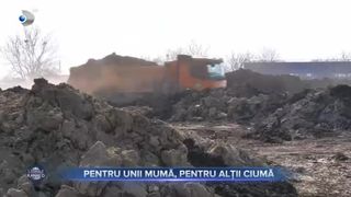 Pentru unii mumă, pentru alții ciumă