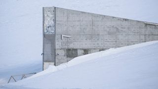 &Icirc;n teorie, semințele sunt &icirc;n siguranță timp de mai multe secole